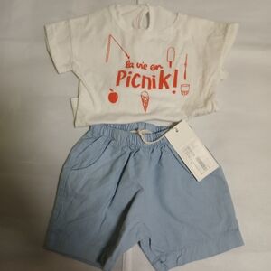 Picnik 2 Piece Outfit Shorts and Tee